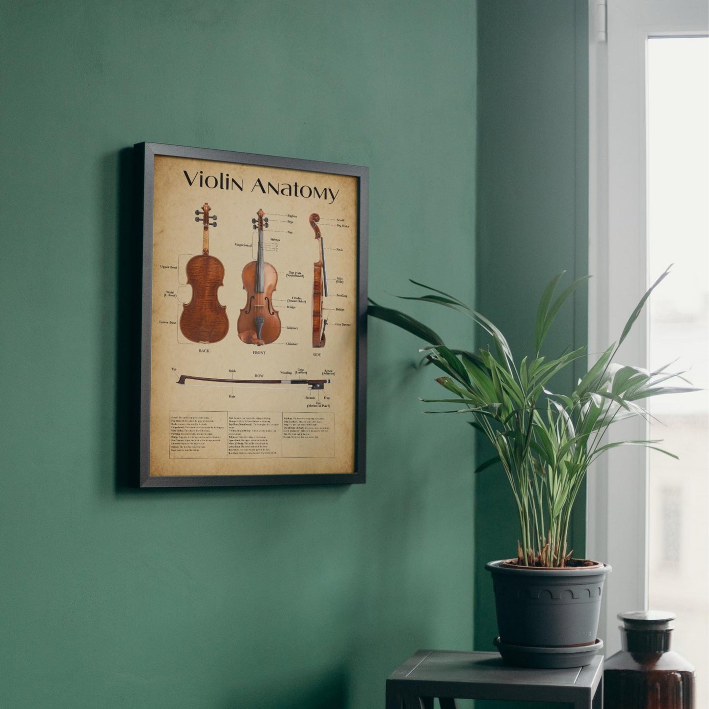 Violin anatomy infographic printable high-resolution chart featuring complete instrument labeling and dual design styles for teaching and decor purposes