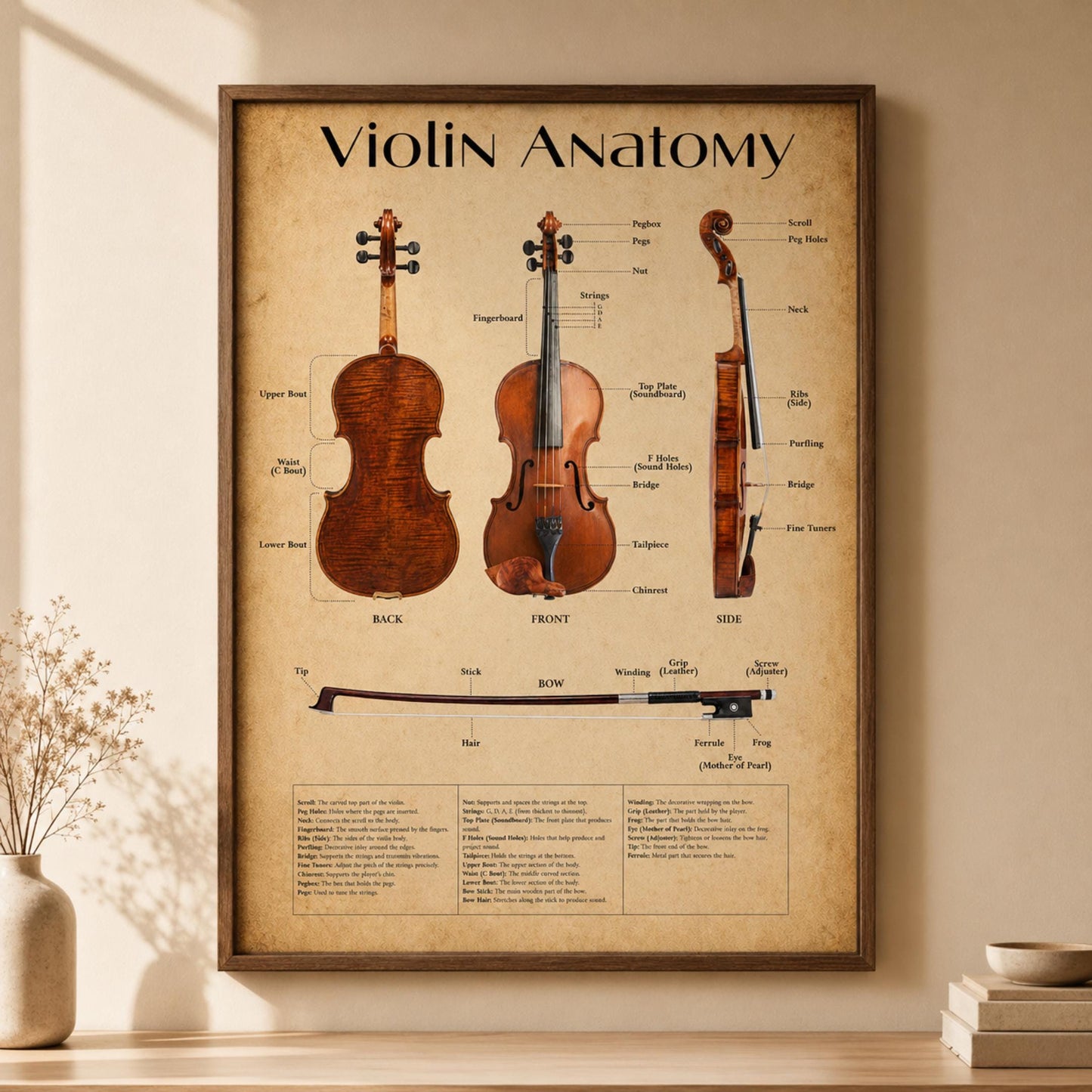 Violin anatomy poster printable showing detailed parts of violin including front, back, side, and bow, presented in both white educational and vintage styles for music classrooms and studio decor
