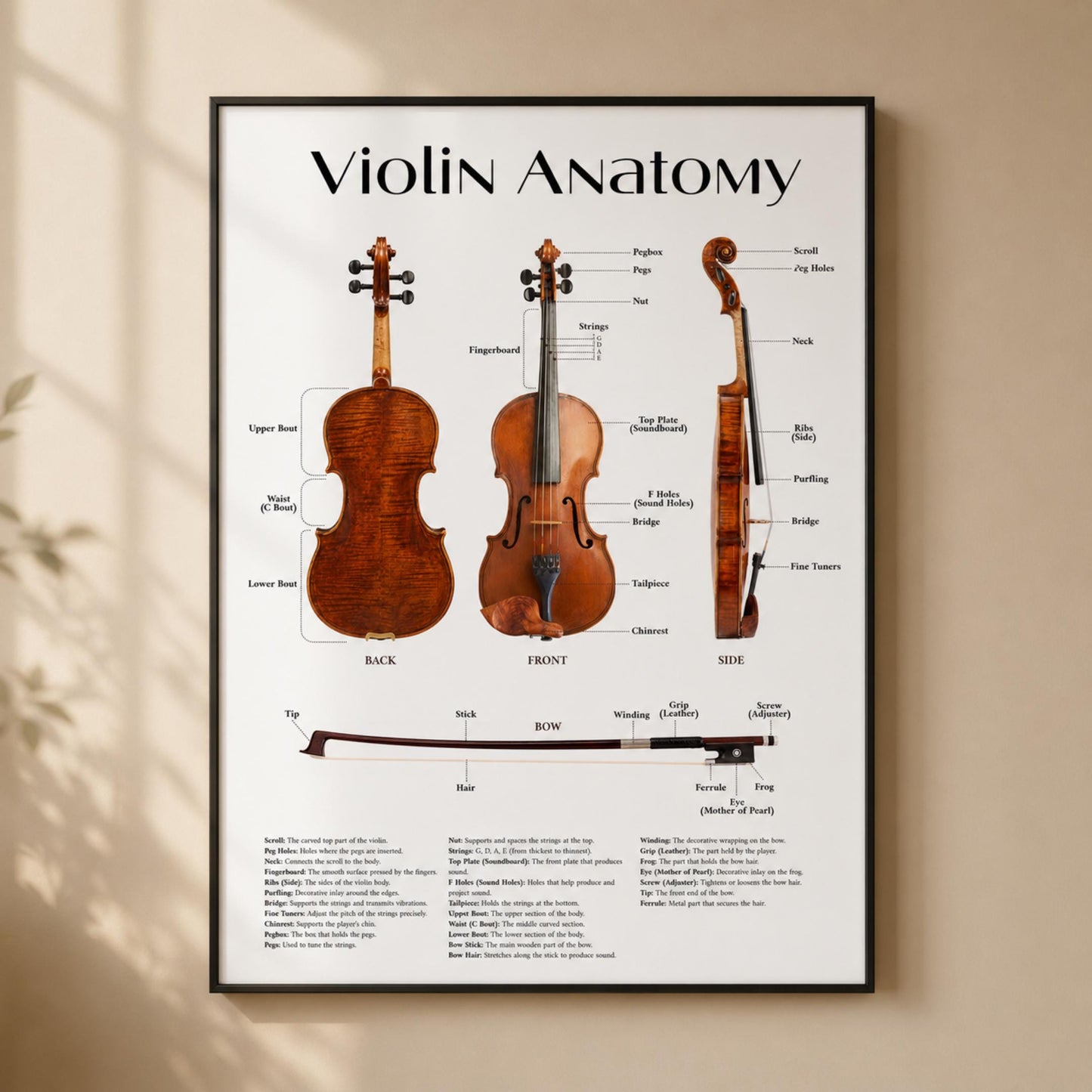 Violin parts diagram printable PDF and PNG featuring labeled instrument structure with clean typography and dual design versions, ideal for music education and visual learning