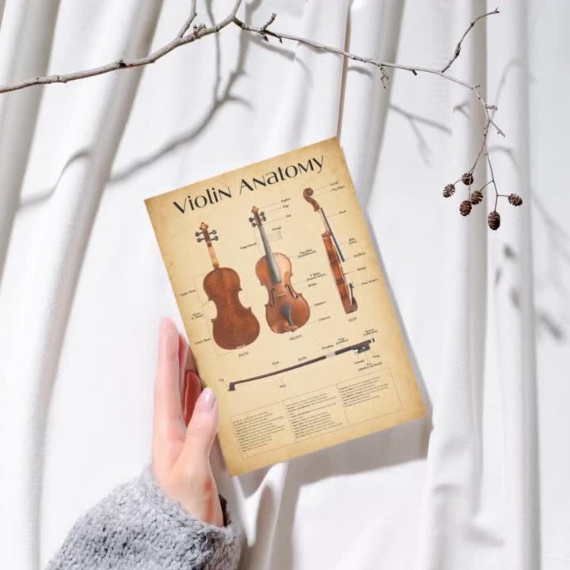 Educational violin parts chart printable PDF with clean layout and high readability, designed for structured teaching and visual reference