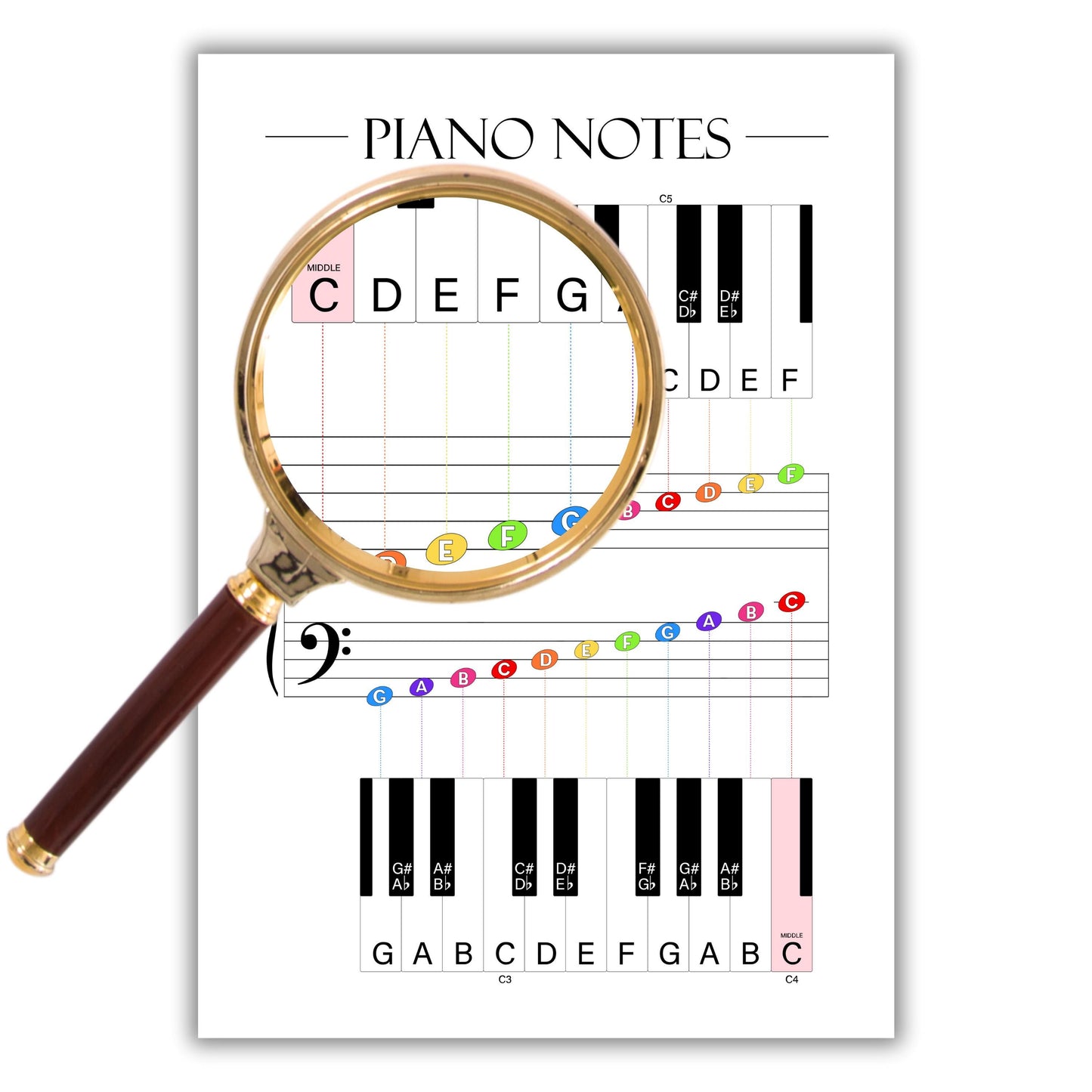 Piano Notes Poster for Beginners, Piano Notes Guide for Music Students, Music Theory Printable for Kids & Adults, Piano Teacher Resource