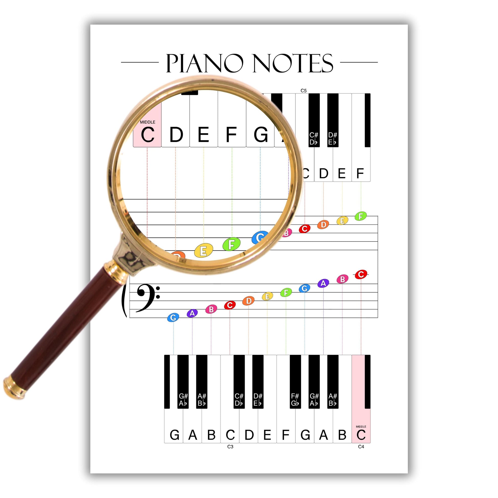 Piano Notes Poster for Beginners, Piano Notes Guide for Music Students, Music Theory Printable for Kids & Adults, Piano Teacher Resource