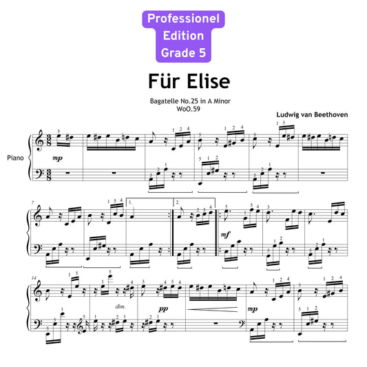 Fur Elise by Beethoven | Intermediate Piano PDF with Fingered Notes | Beethoven Score & Tutorial Video
