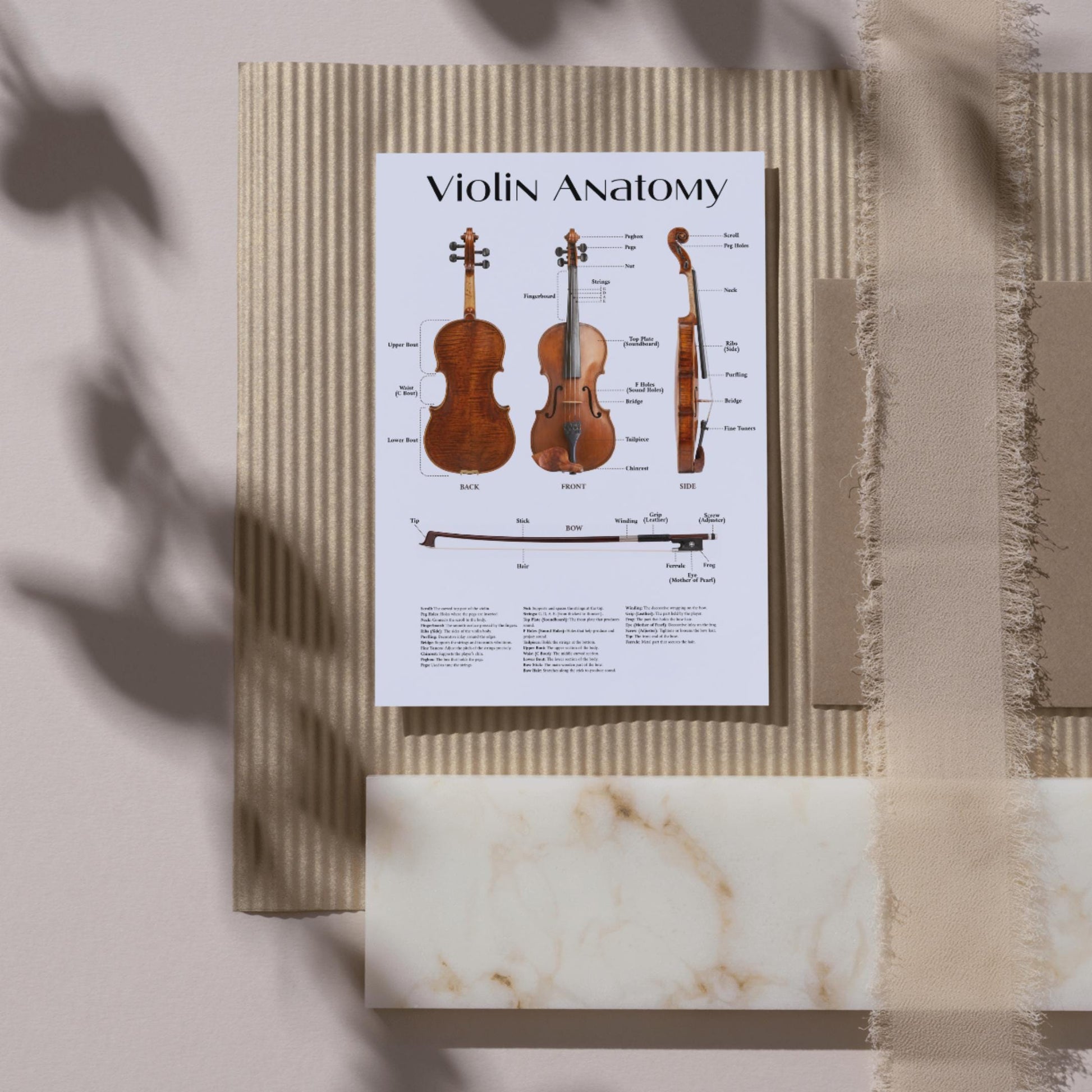 Violin anatomy reference poster printable with two background options, supporting both academic clarity and aesthetic presentation in music environments