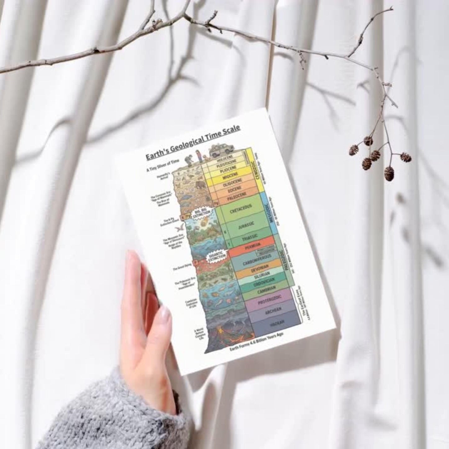 Stratigraphic Chronicle illustrated Earth history timeline displayed as a high-resolution printable PDF and PNG, mapping mass extinction events and major biological transitions in a clear chronological layout.