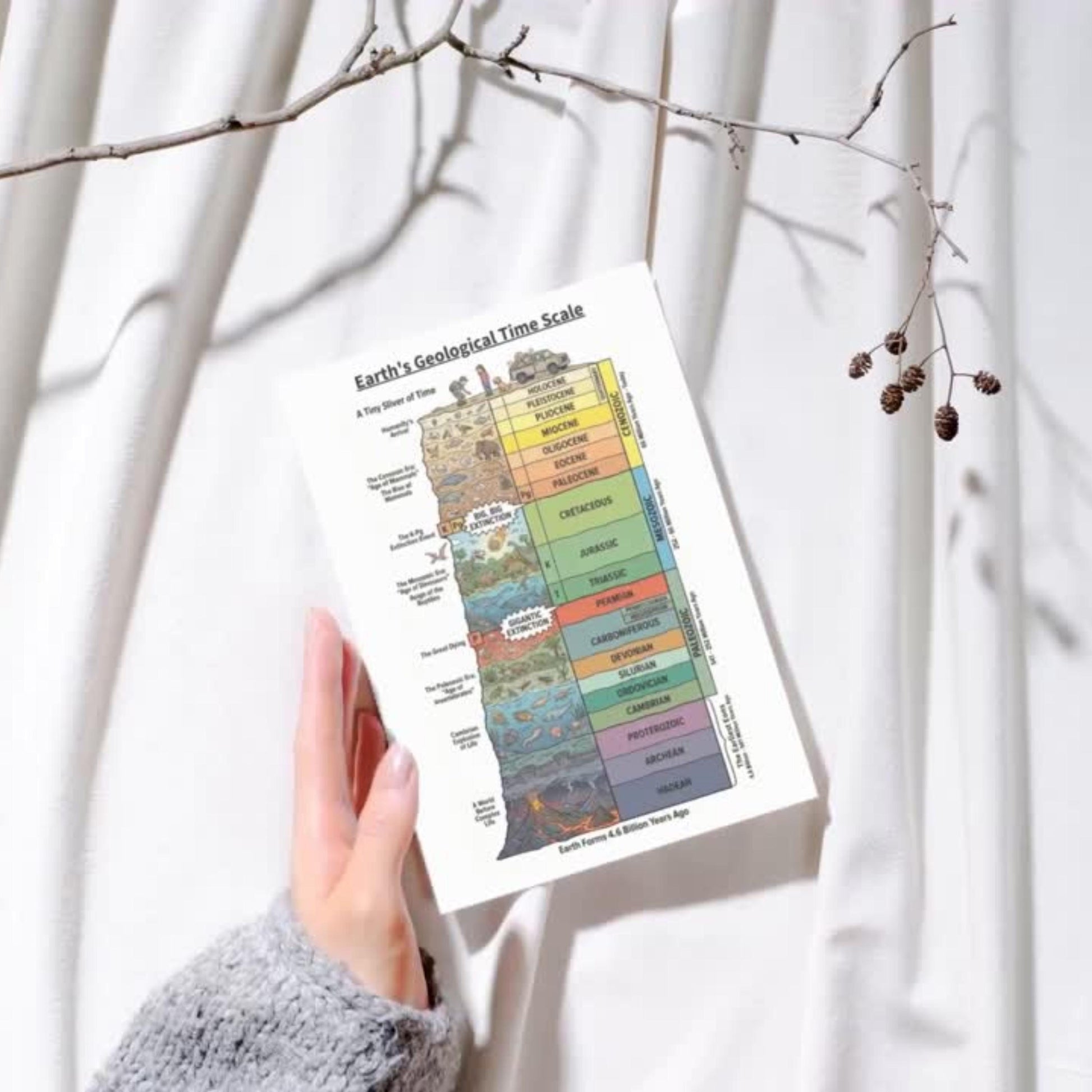 Stratigraphic Chronicle illustrated Earth history timeline displayed as a high-resolution printable PDF and PNG, mapping mass extinction events and major biological transitions in a clear chronological layout.