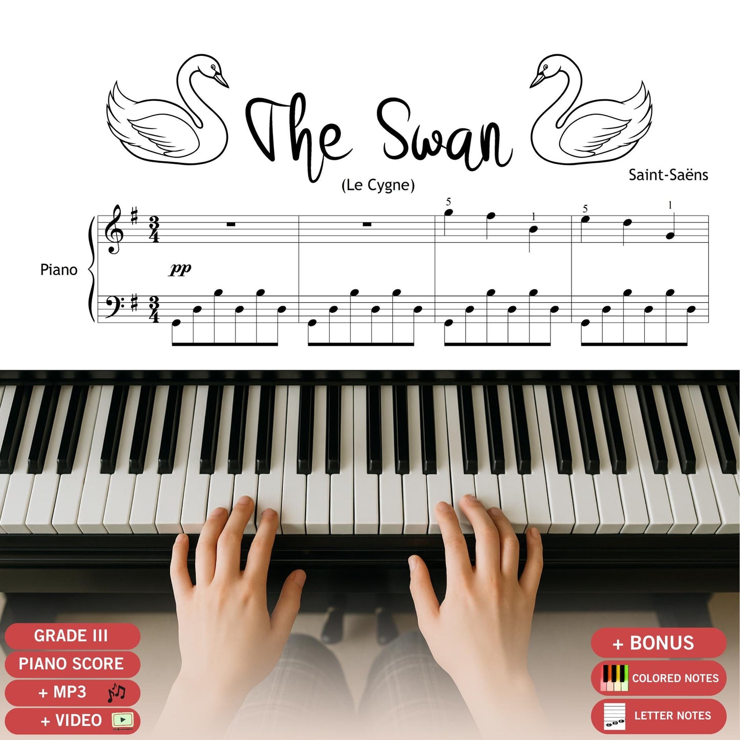 The Swan Piano Sheet - Grade 3 Piano Score | Saint Saens Simplified Music PDF Download
