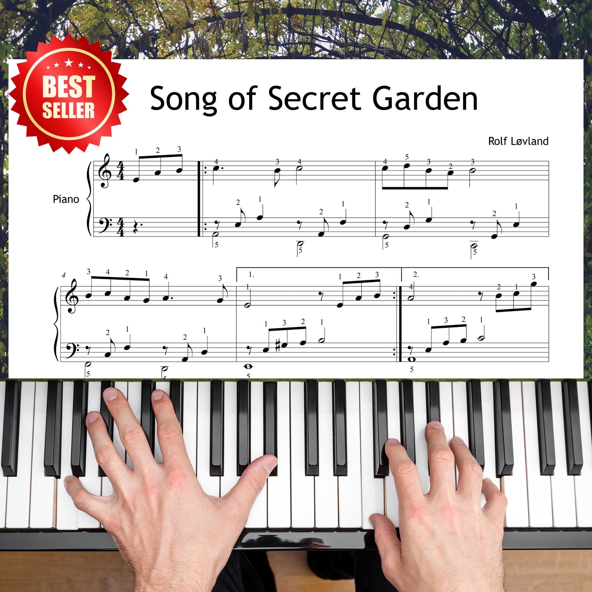 Song of Secret Garden by Rolf Løvland downloadable and simplified piano sheet music PDF shown in a Grade 3–4 layout with finger numbers, color-coded notes, note-name versions, and manuscript-based engraving for expressive early-intermediate playing.