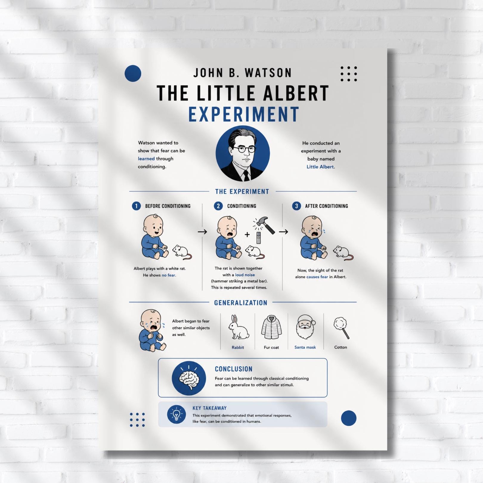 a poster on a brick wall that says the little albert experiment