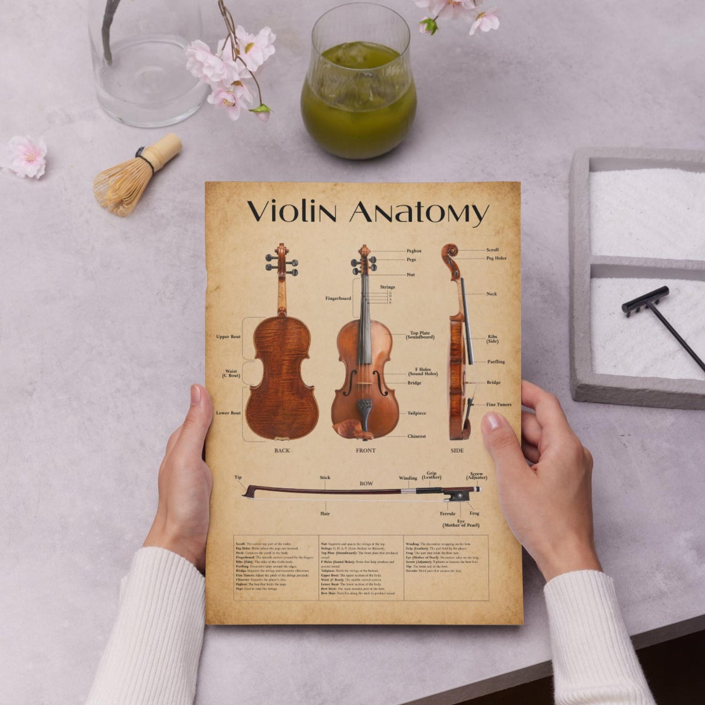 Violin instrument diagram printable showing labeled sections and components, created for music schools, private lessons, and orchestra studies