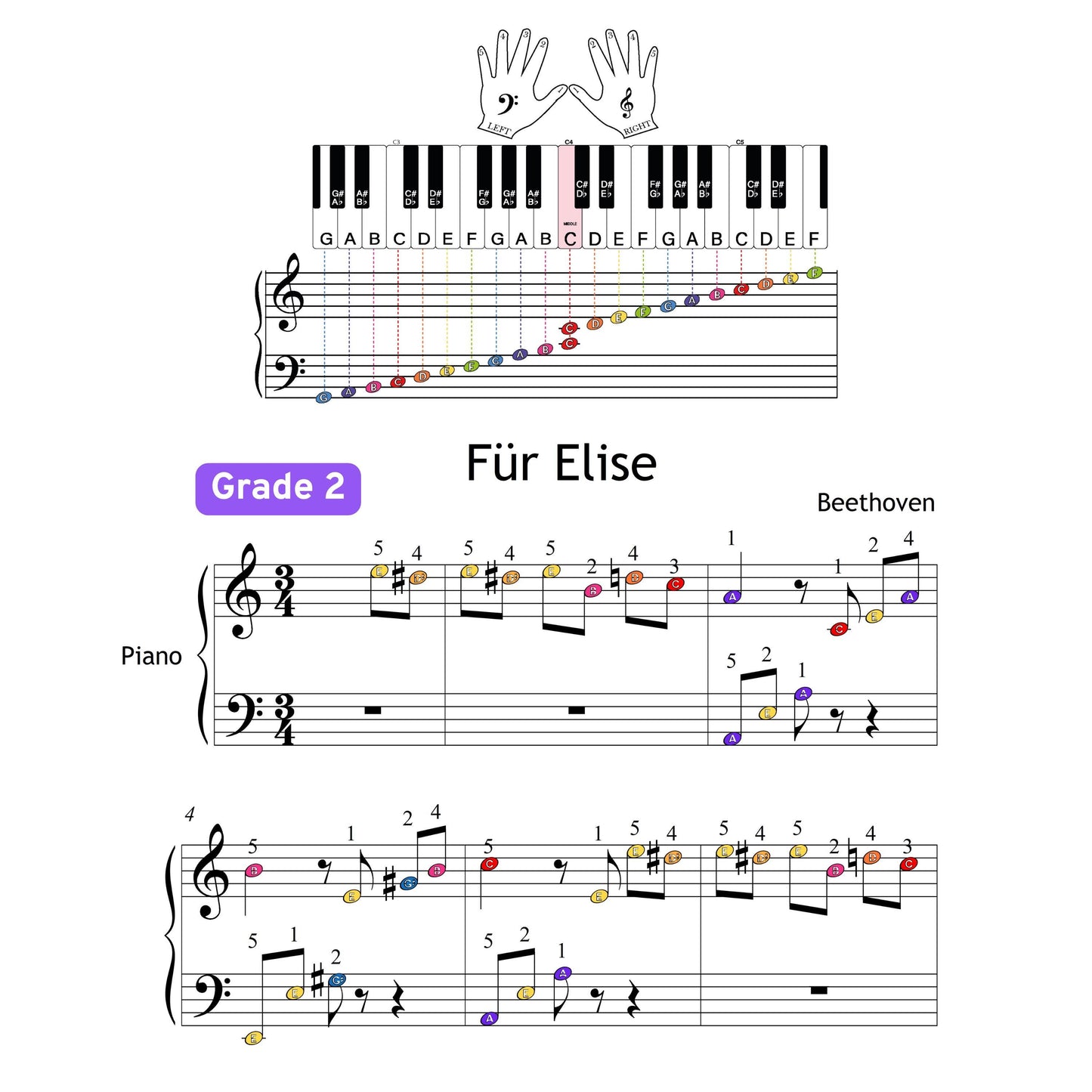 Fur Elise by Beethoven | Grade 2 Easy Piano Sheet Music PDF Download with Video