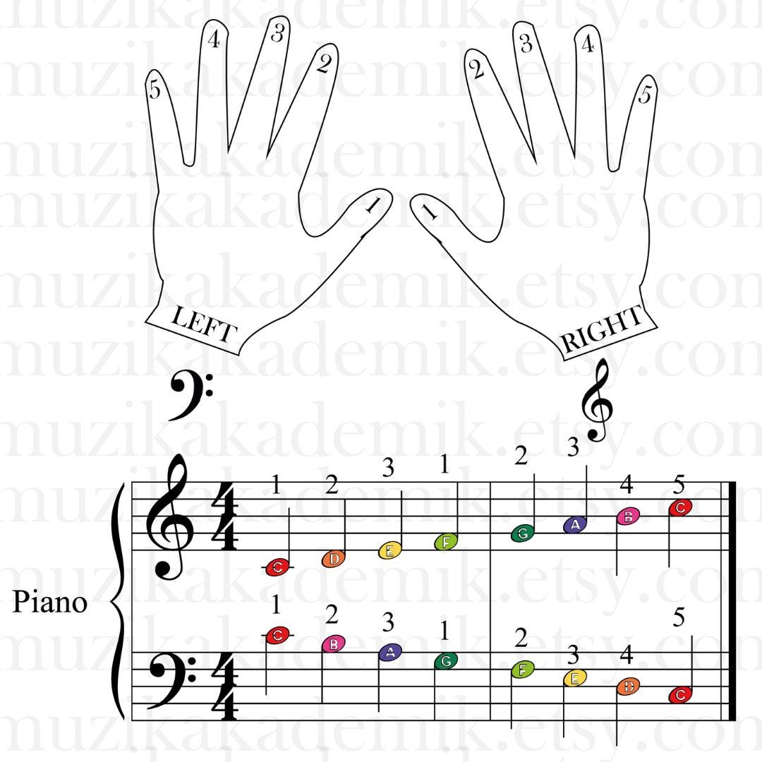 Wellerman - Grade 1 Simplified Easy Piano Sheet for Beginners | Sea Shanty PDF + Letter Notes + MP3 | Color-Coded Kids Edition