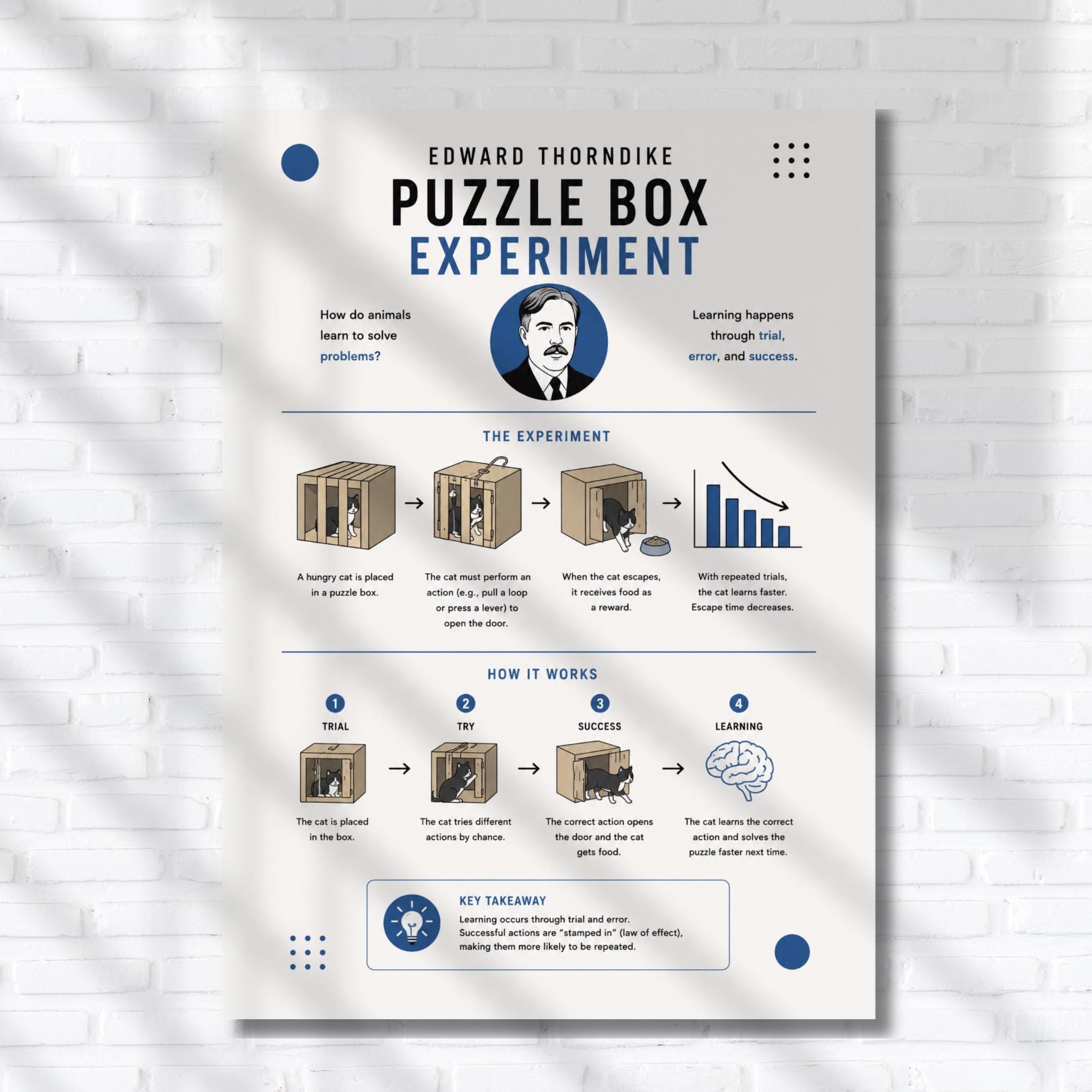 The image is a poster titled "Puzzle Box Experiment" by Edward Thorndike, featuring a series of illustrations and text explaining the experiment and its results.