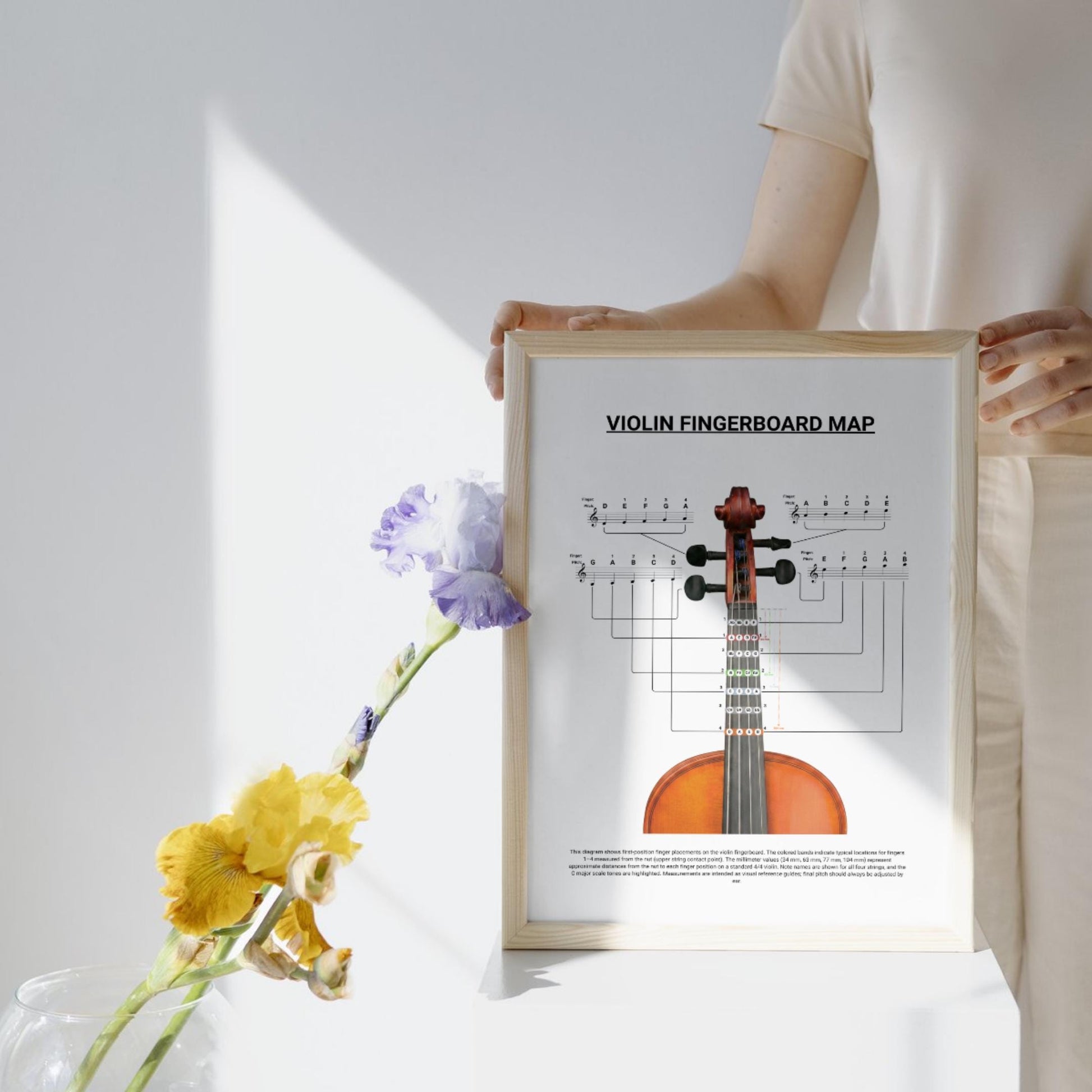 Violin Fingerboard Map – First Position Fingering Chart with Distances | C Major Notes Highlighted | Printable Violin Diagram PDF