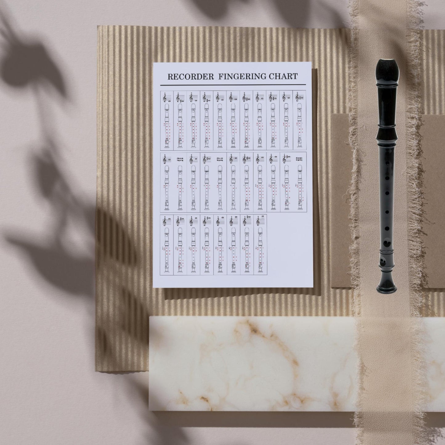 Recorder Fingering Chart for Kids downloadable classroom resource, easy-to-follow recorder note chart with correct fingerings, compatible with tablets and smartboards for interactive lessons, making music learning engaging for beginner students.