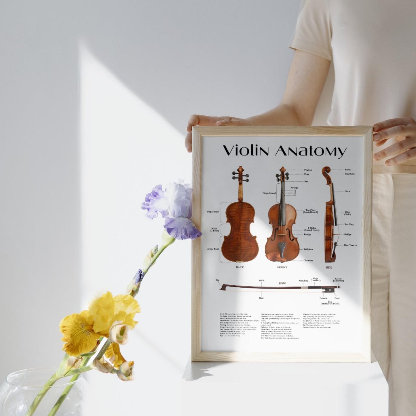 Violin anatomy wall art printable combining scientific accuracy with elegant design, perfect for studios, classrooms, and musician workspaces