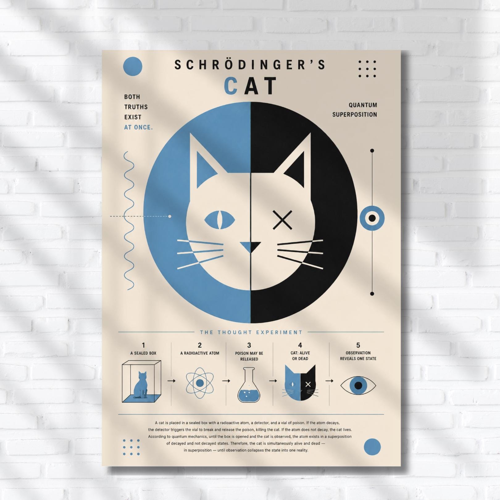 The image is a poster with a cat's face and a series of illustrations and text explaining the concept of Schrödinger's cat, a famous thought experiment in physics.