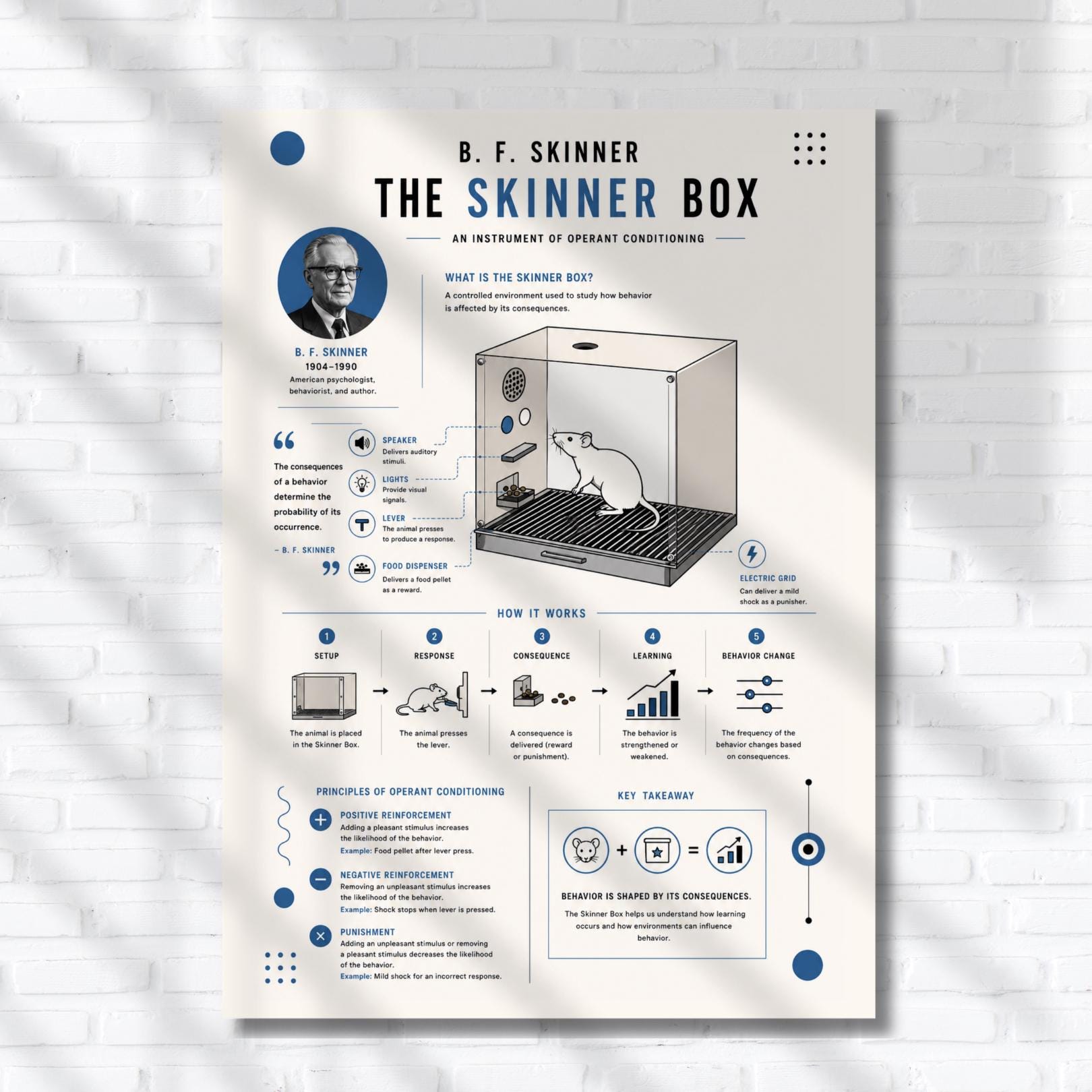 The image is a poster or infographic about the B.F. Skinner Box, a Skinner Box used in behavioral research. It features a diagram of the Skinner Box with a mouse inside, along with text and illustrations explaining the principles of operant conditioning.
