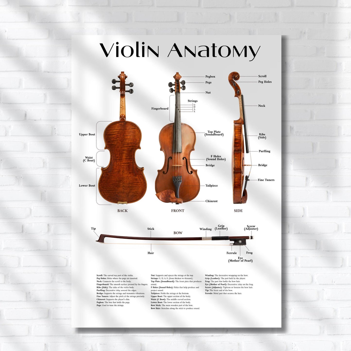 Music classroom violin anatomy poster printable featuring clear educational layout and decorative version for flexible use in lessons and wall display