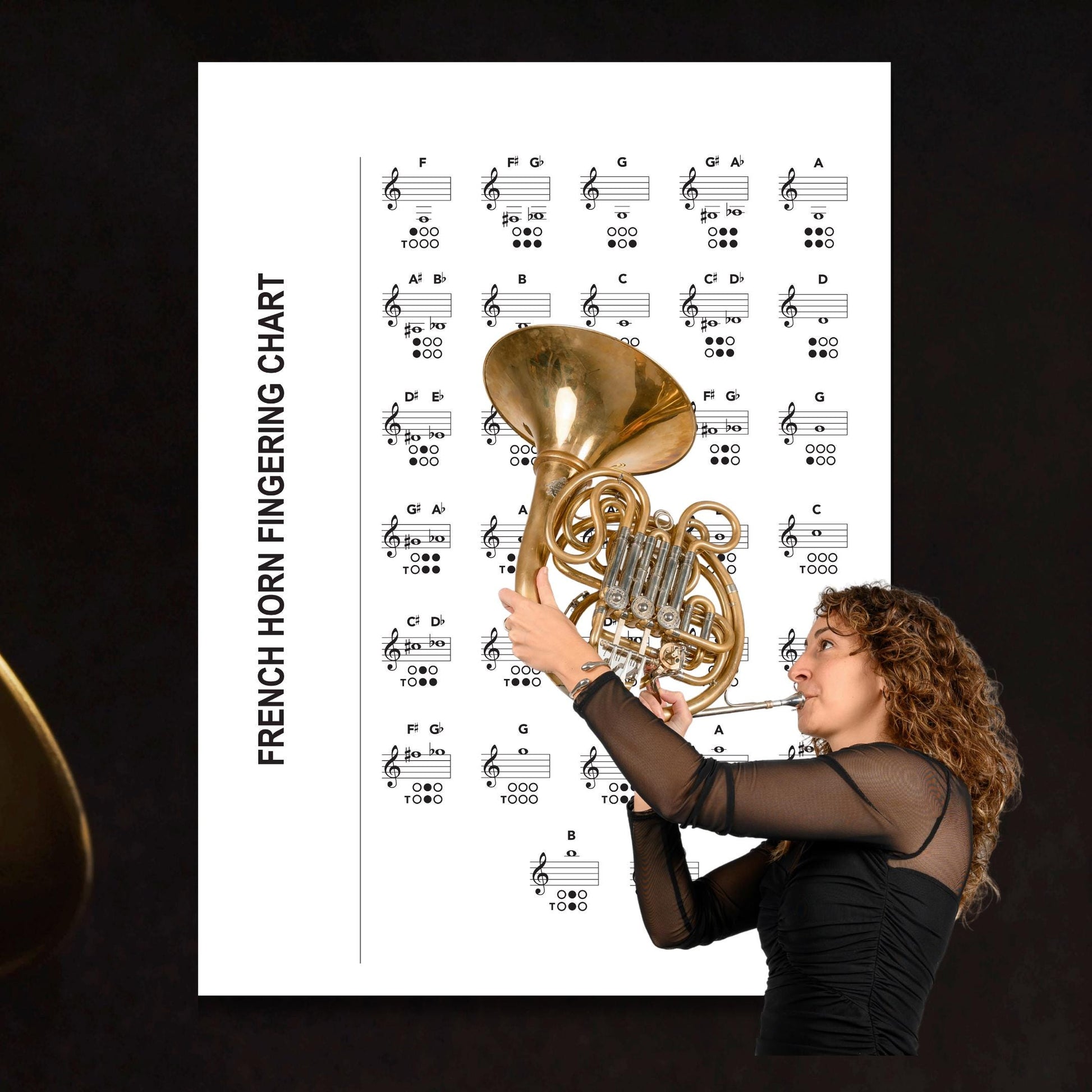 French Horn Fingering Chart printable PDF and PNG digital download, professional single-page brass music poster with accurate fingerings across the full French Horn range, designed for students, teachers, and musicians of all levels, printable from A4 practice sheets to large wall posters.