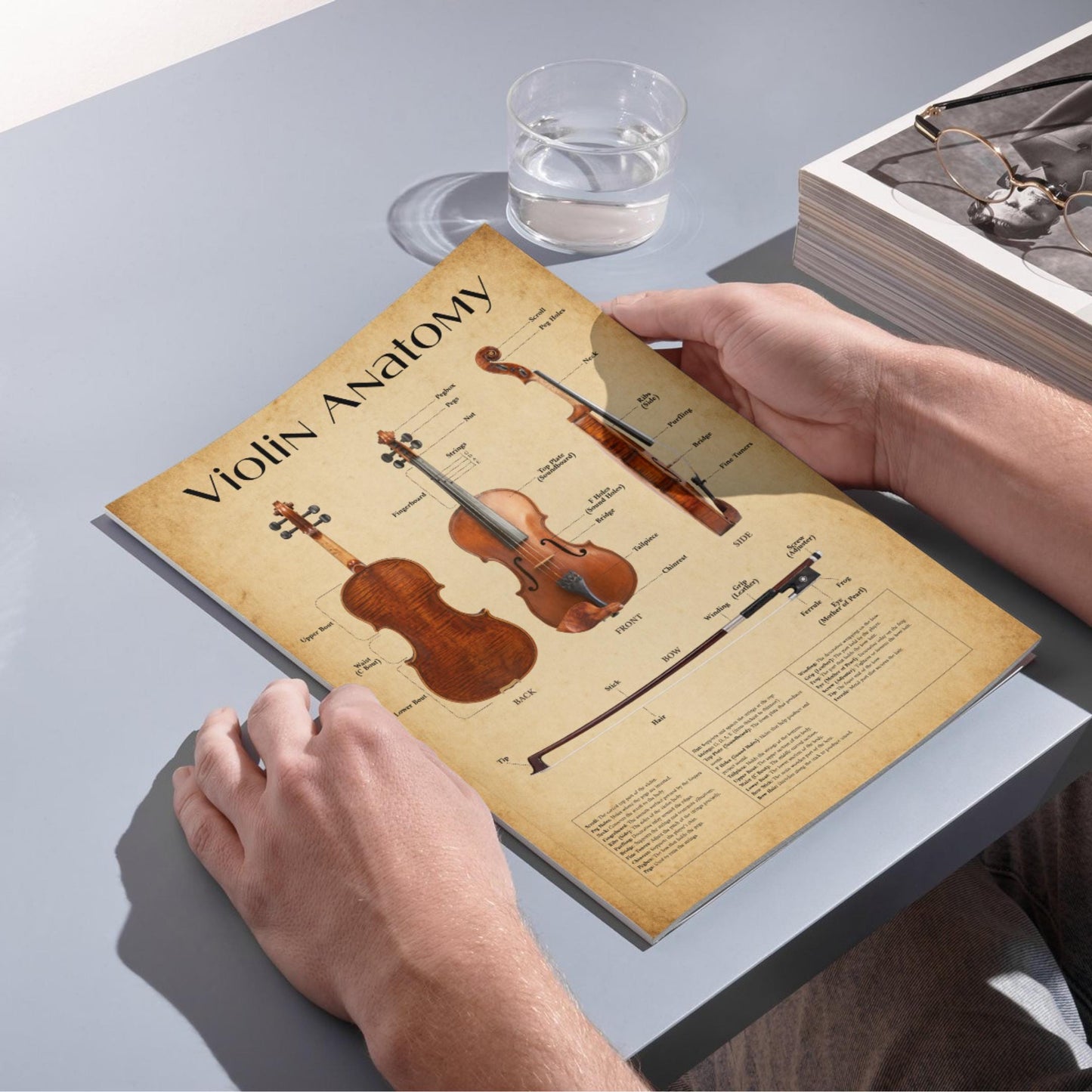 Printable violin diagram poster showing full instrument breakdown including neck, bridge, strings, and bow parts, optimized for print and digital use