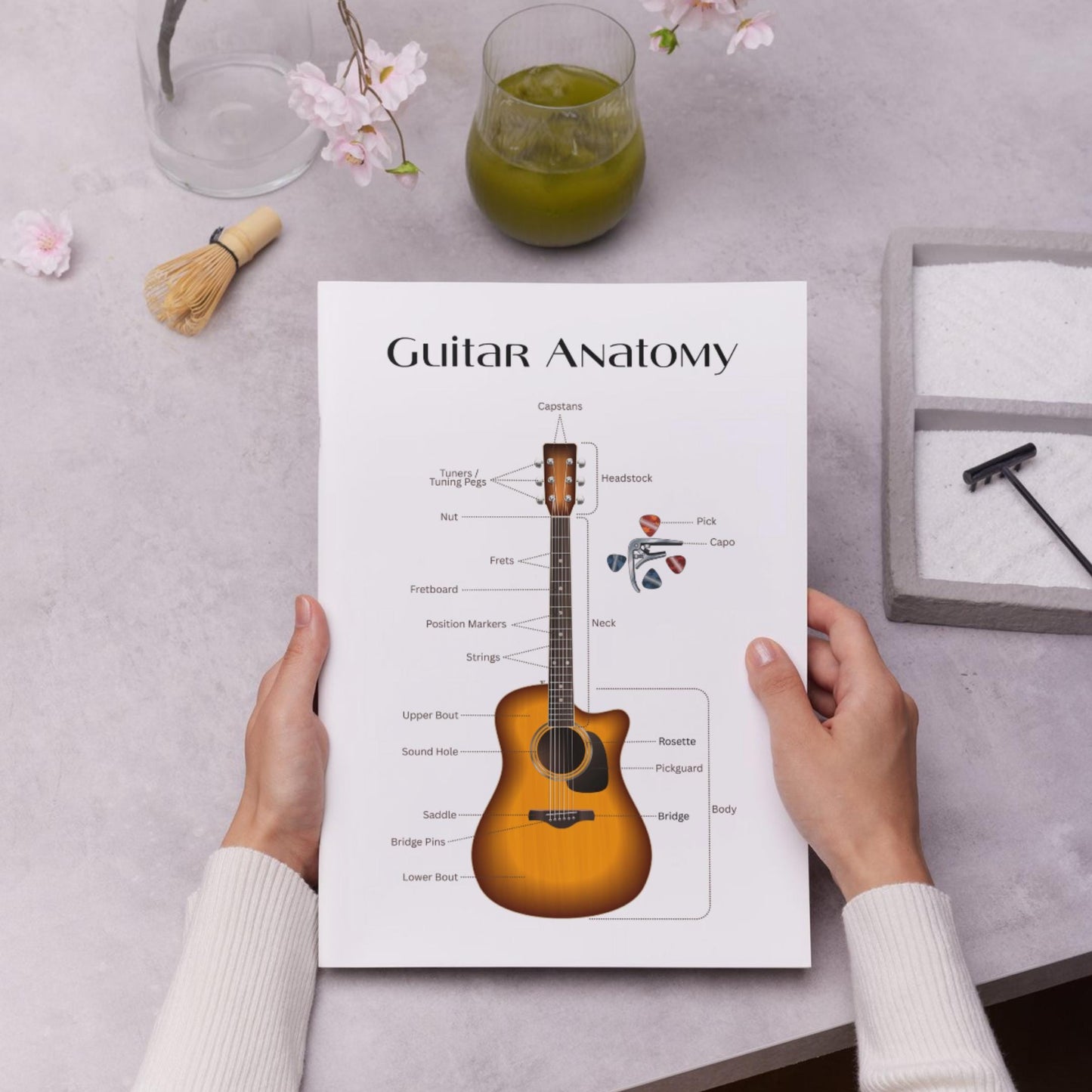 Acoustic guitar parts diagram printable with two background options, offering a clean and structured layout for music classrooms and practice rooms