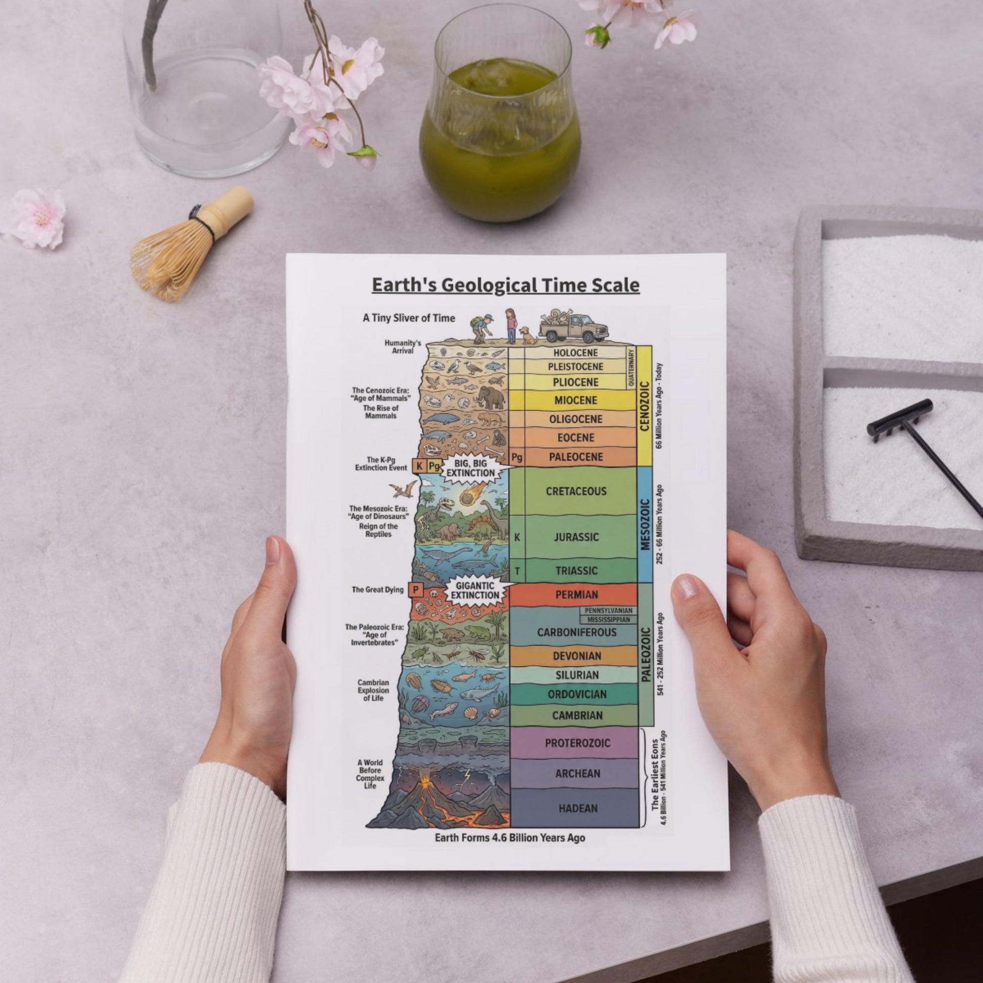 Stratigraphic Chronicle illustrated Earth history timeline shown as a wall-ready educational poster and digital learning aid, optimized for classrooms, homeschooling programs, and interactive boards.