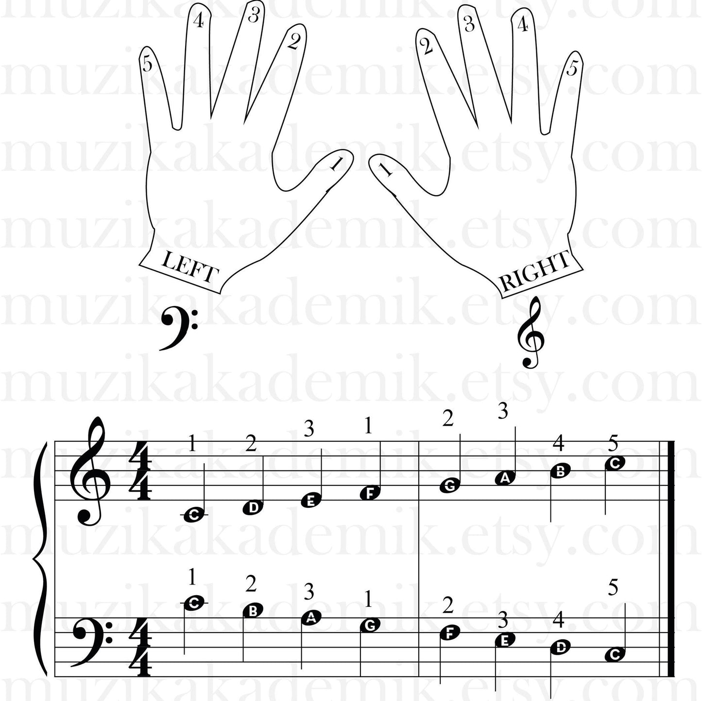 Canon by Pachbell - Beginner Piano Sheet Music (bonus with violin and flute part)