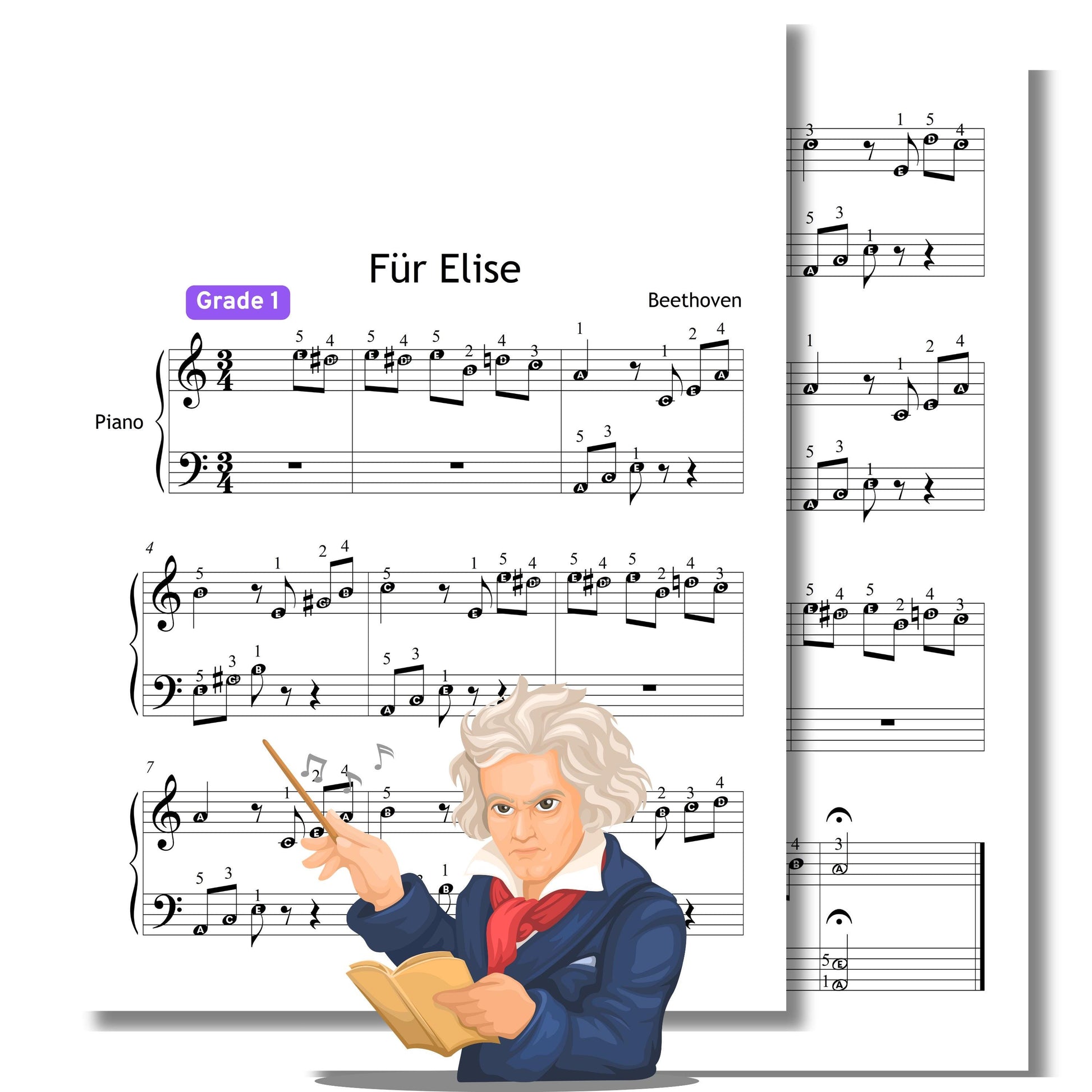 Für Elise - Grade 1 Simplified Easy Piano Sheet for Beginners | Easy Beethoven Music PDF | MP3 + MP4 Video + Finger Numbers