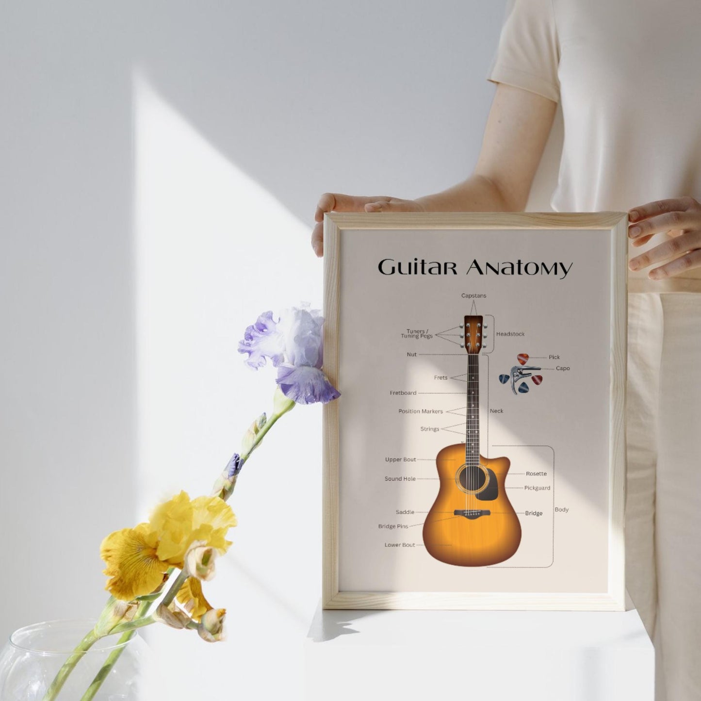 Music education acoustic guitar diagram printable showing key parts and layout, suitable for classroom walls, studio teaching, and beginner reference use