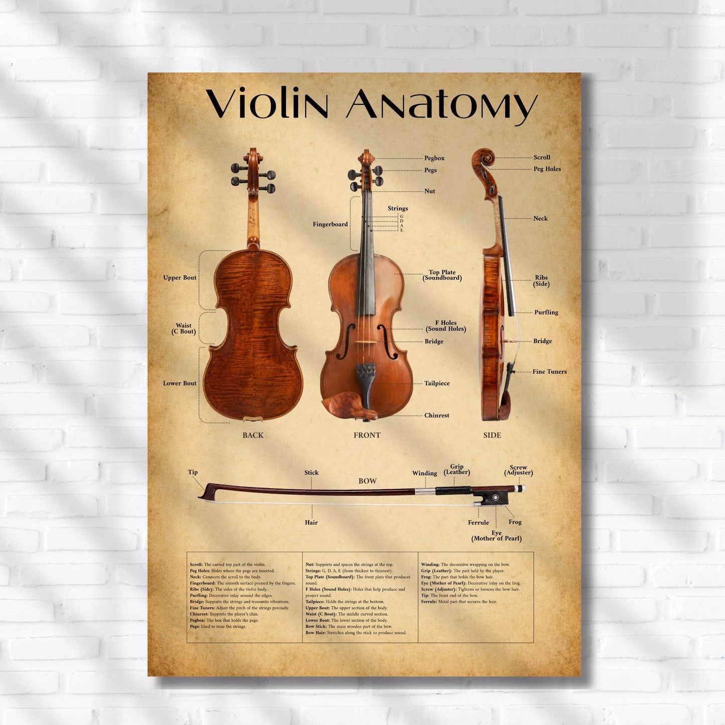 Violin structure infographic printable with high-resolution detail, showing bow and instrument anatomy in both modern white and vintage parchment styles